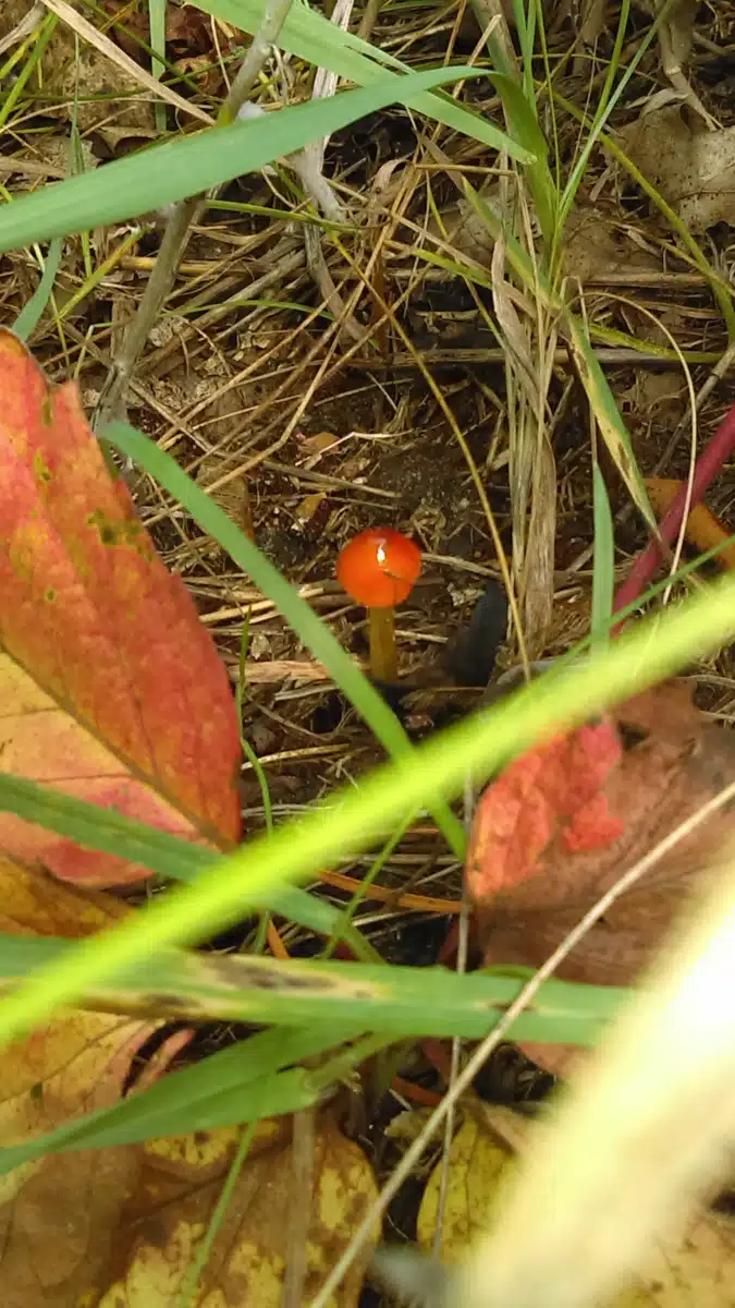 BHG Brainerd Treatment Center - Preview