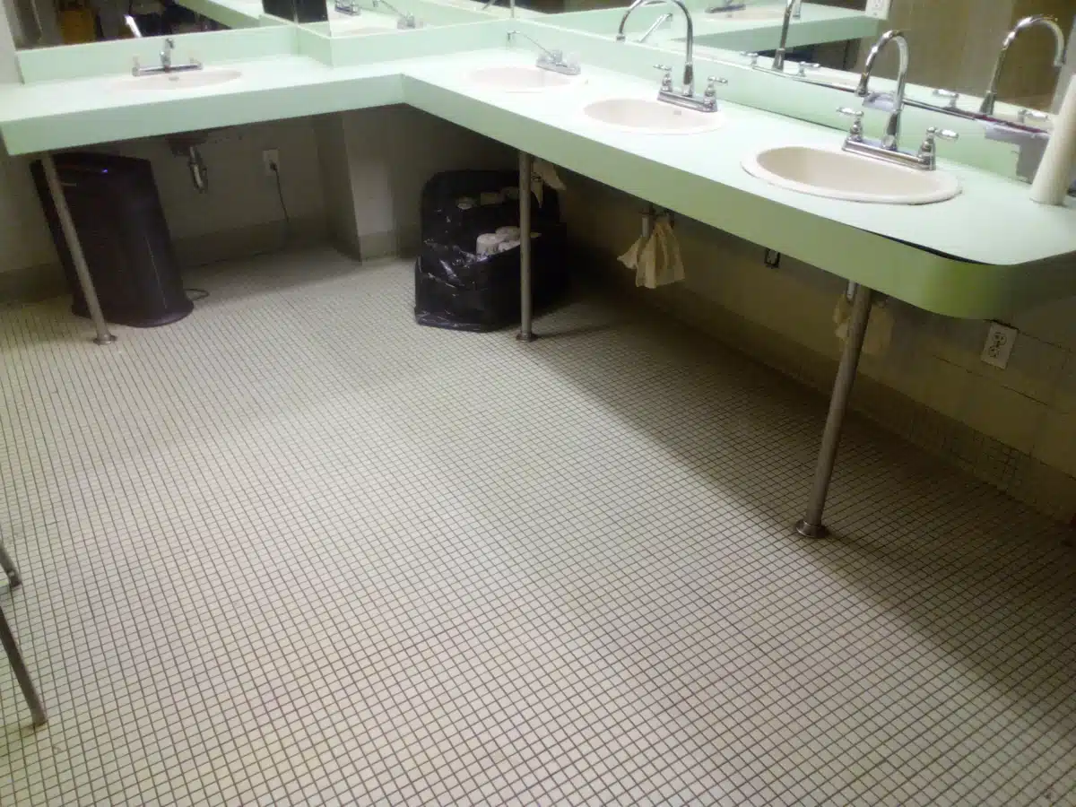 Elmcor Youth and Adult Activities Inc - Preview