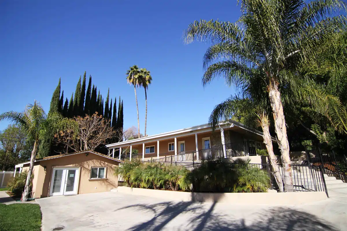 New Creation - Hero Image