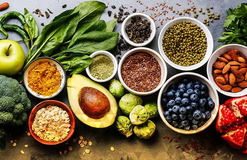 South Lake Tahoe Recovery and Rehab - Preview